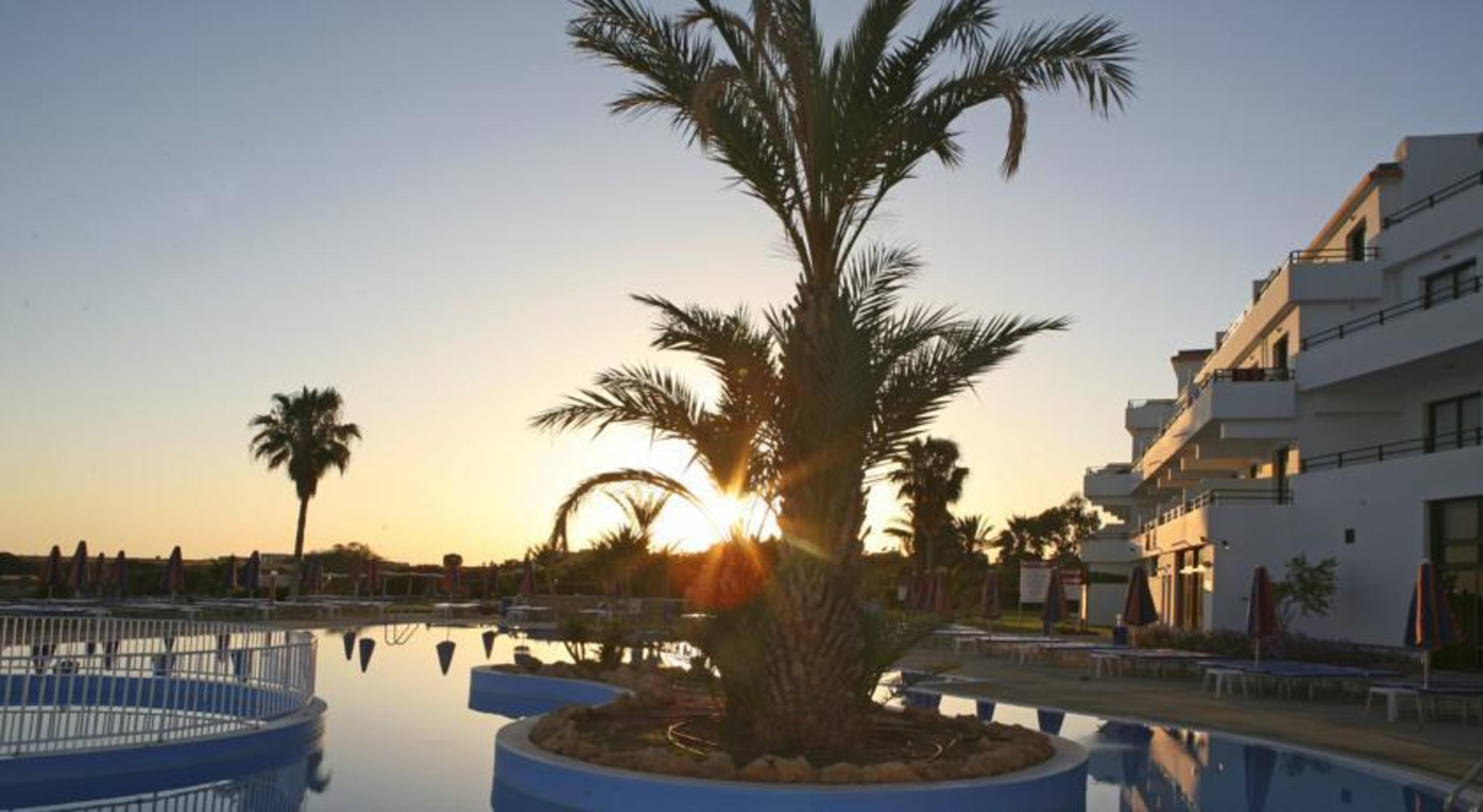 Corallia Beach Hotel Apartments Coral Bay Bagian luar foto